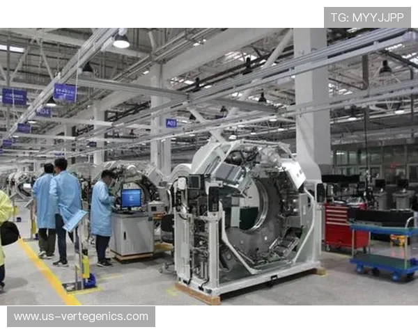 尊龙集团的国际化进程与未来发展方向