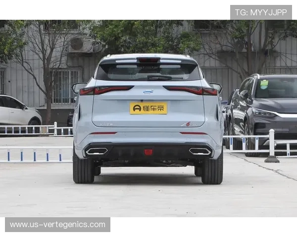 Z6就是博：从多个角度解读Z6如何实现品牌的持续成长