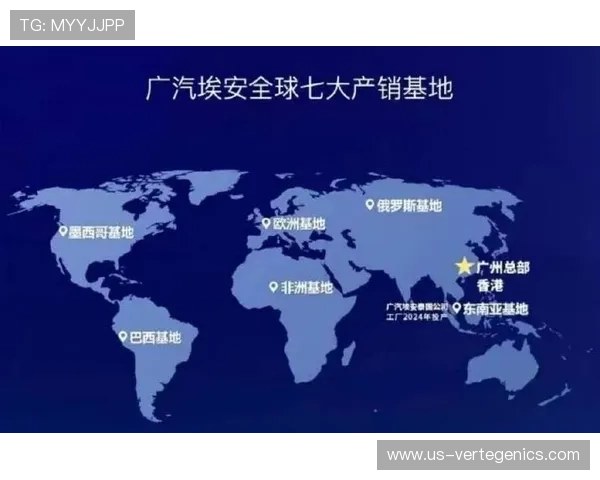 探索d88尊龙集团在全球博彩市场中的战略布局与未来发展方向