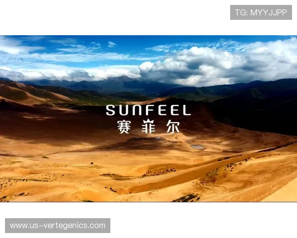 探索尊龙凯时平台官网的独特优势让玩家享受无限乐趣