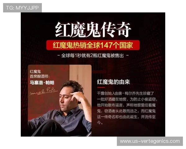 探索尊龙官方网站官网入口的多样娱乐选择与丰富游戏体验