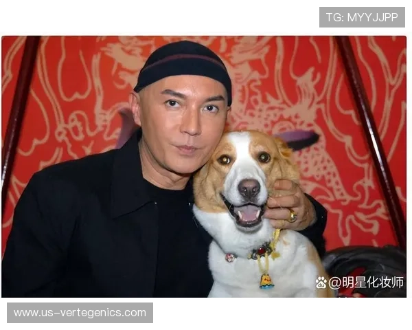 探访尊龙在线官网，开启属于你的专属娱乐天地，体验无尽精彩