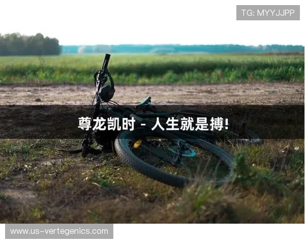 尊龙凯时人生就是博：结合游戏经验探索人生成功的关键因素