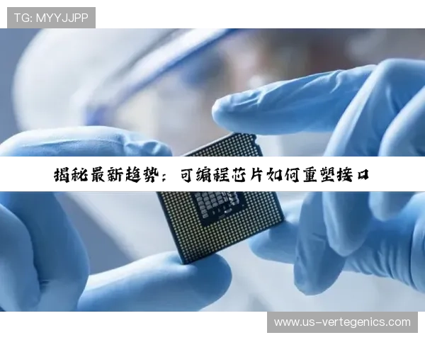 尊龙凯时电子游戏平台带你体验最流畅的线上娱乐体验与丰富的游戏内容