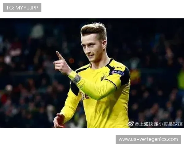 Z6尊龙真人国际用户评价与口碑分析:真实玩家体验分享与平台信誉评估 Z6尊龙真人国际用户评价与口碑分析:真实玩家体验分享与平台信誉评估