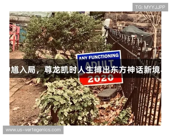 尊龙凯时中国人生：分析行业变革对个人职业发展的影响与应对策略