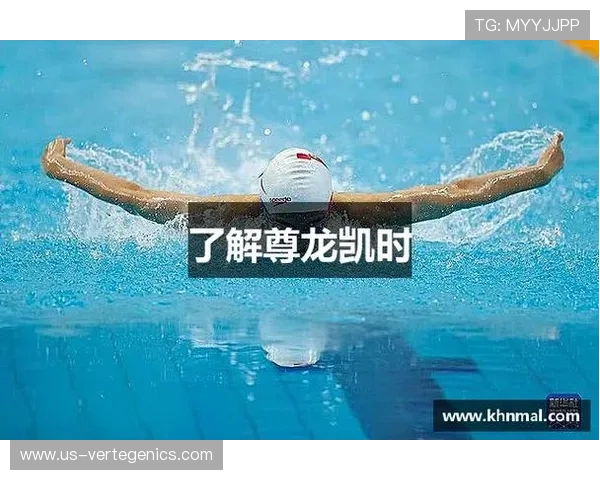 选择凯时尊龙总代理：为您的娱乐业务注入强劲动力，提升竞争力