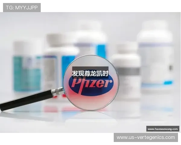尊龙凯时电子游戏平台的最新版本更新内容与功能优化介绍助力玩家掌握最新玩法